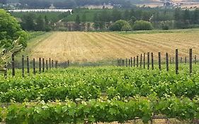 Lemberg Wine Estate